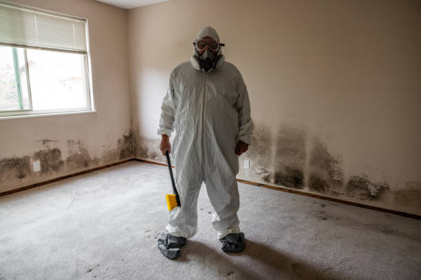 Mold Testing and Removal in Weedpatch, CA