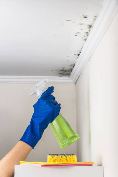Best Office Mold Removal Services  in Weedpatch, CA